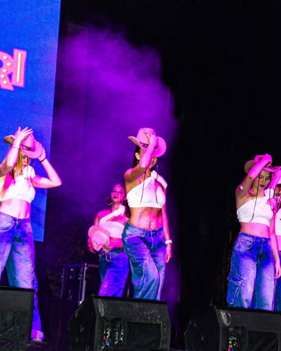 Pembe Panter Show
